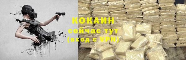 ешки Аркадак
