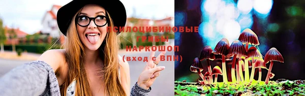 ешки Аркадак