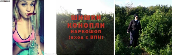 спайс Армянск
