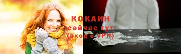 кокс Арсеньев