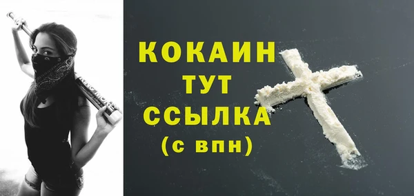 кокс Арсеньев