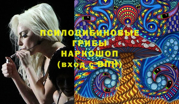 ешки Аркадак