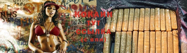 ешки Аркадак