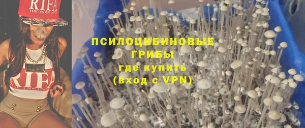 ешки Аркадак