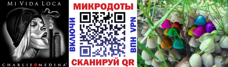 магазин  наркотиков  Нея  ОМГ ОМГ рабочий сайт  Псилоцибиновые грибы MAGIC MUSHROOMS 